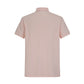 PB 38136 Rosa